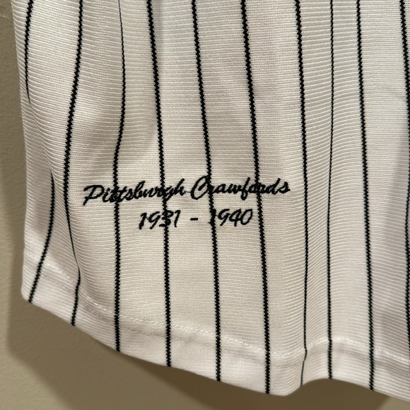 PITTSBURGH Headgear Classics Nostalgia Co. Button Down Pinstripe Jersey sz L NWT - Picture 10 of 12